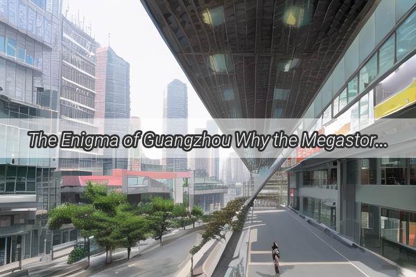 The Enigma of Guangzhou Why the Megastore Giant Auchan is a Rarity in the City of Giants